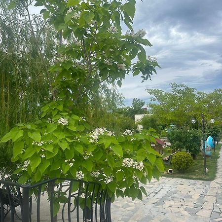 Ralina Restaurant And Hotel Ararat Kültér fotó