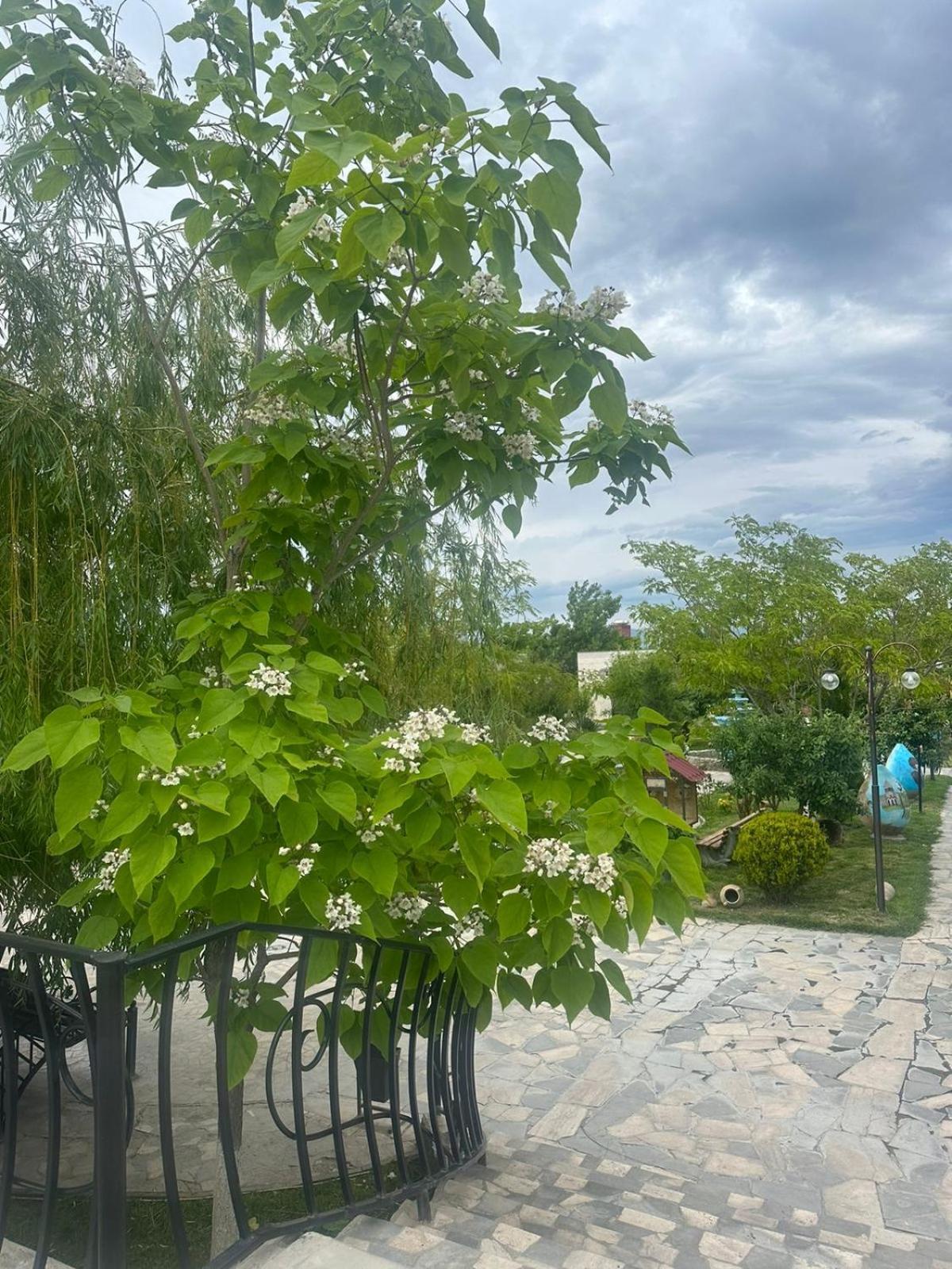 Ralina Restaurant And Hotel Ararat Kültér fotó