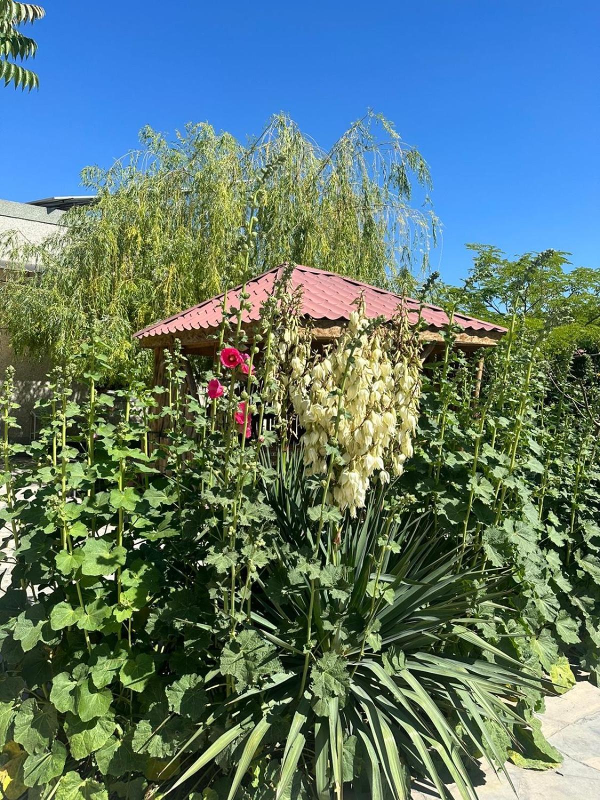 Ralina Restaurant And Hotel Ararat Kültér fotó